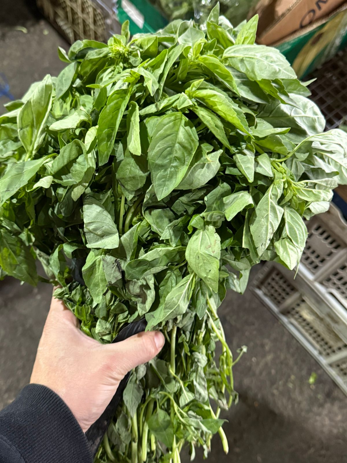 Albahaca 200 gr aprox