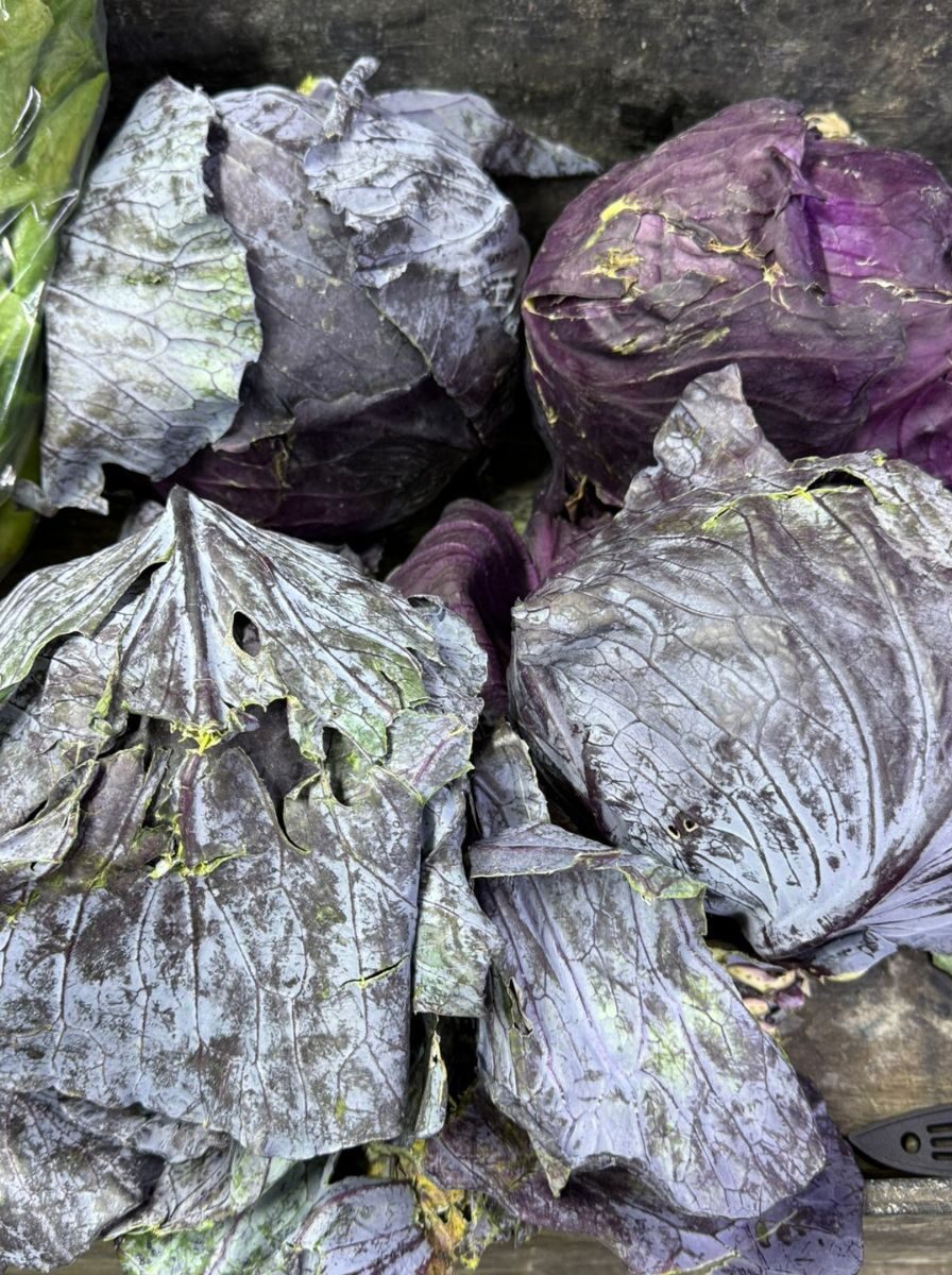 Repollo Morado 1/2 Und.