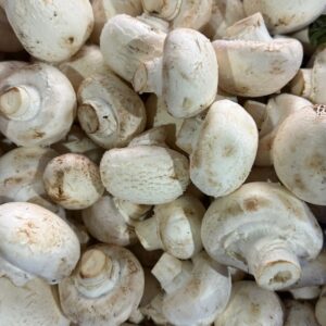 Champiñon 300 gr.