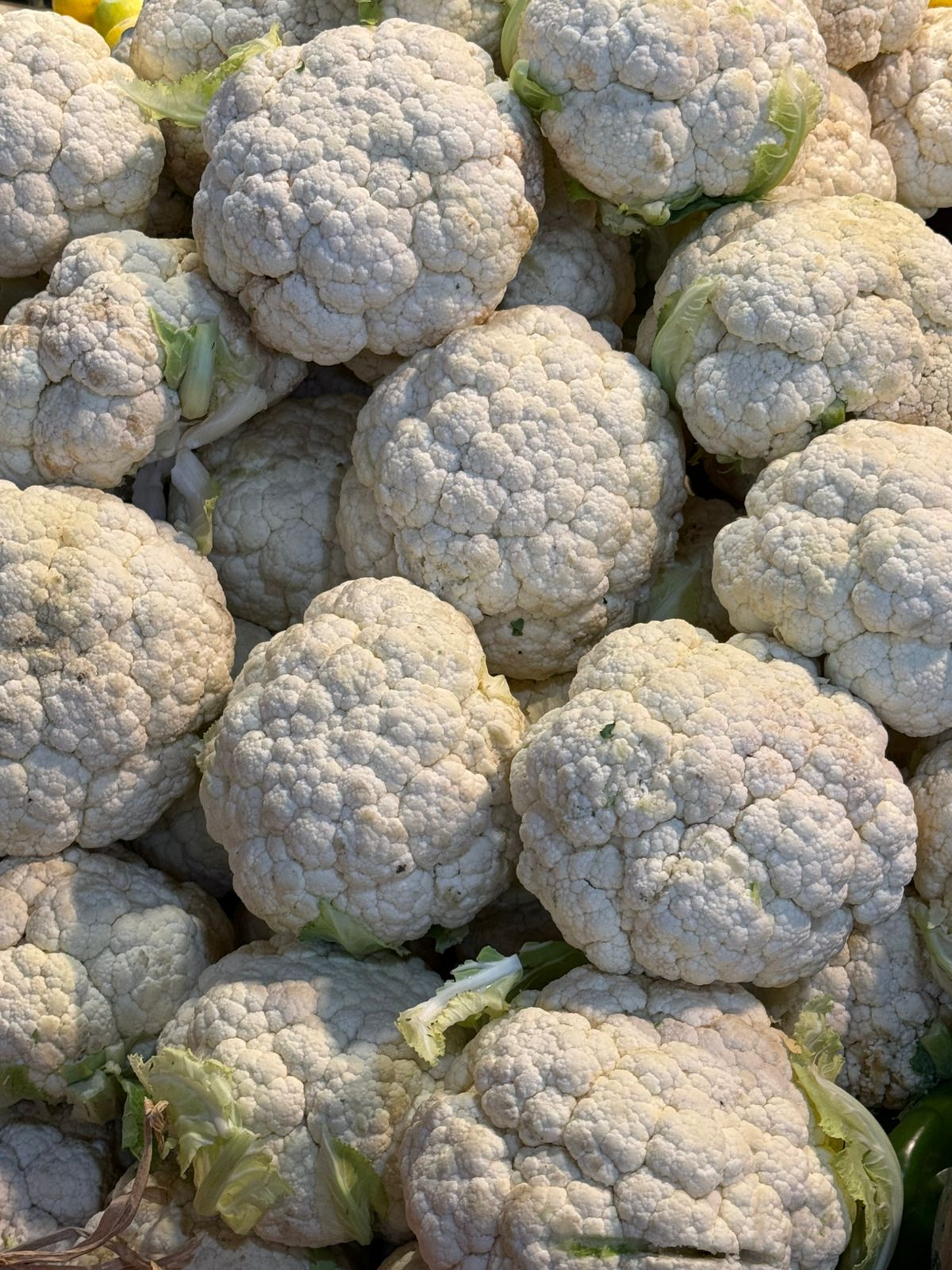 Coliflor Und.