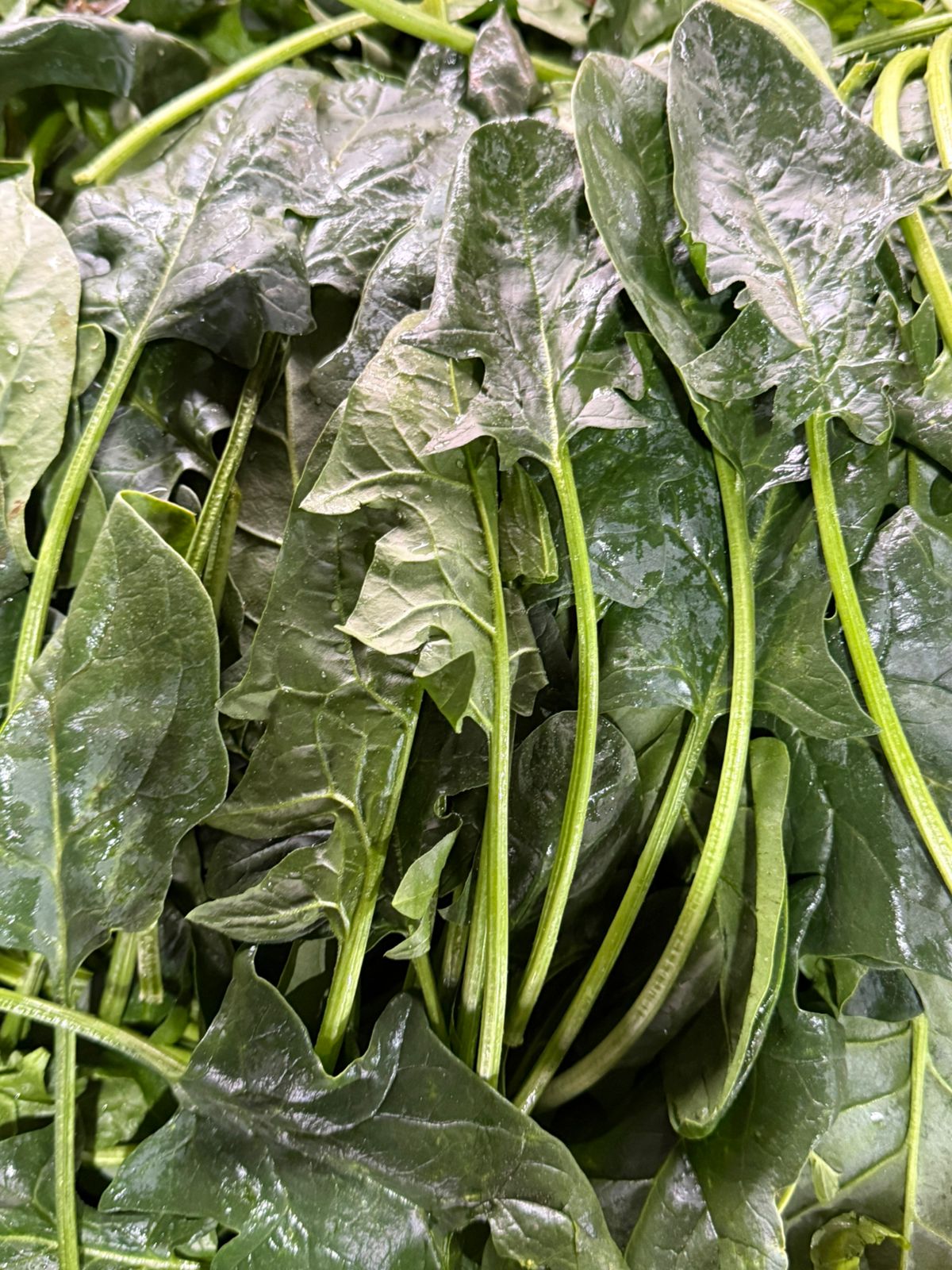 Espinacas 500 gr