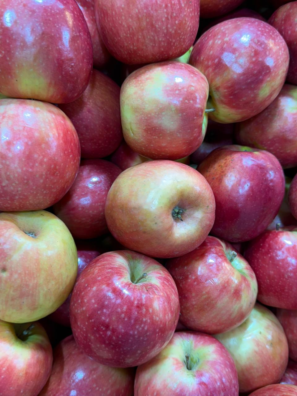 Manzana Pink Lady Kg.