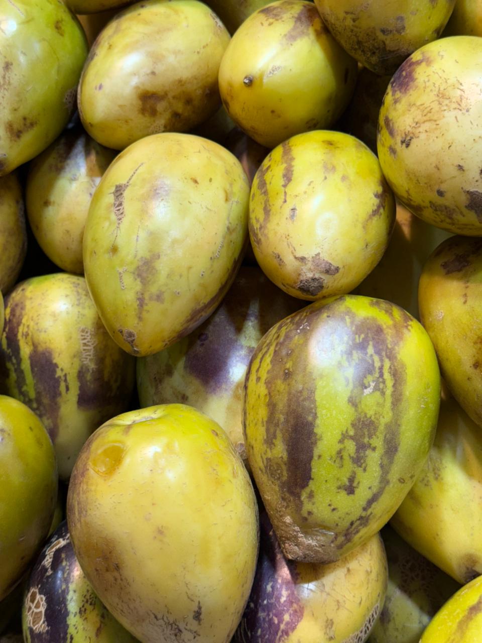Pepino Fruta Kg.