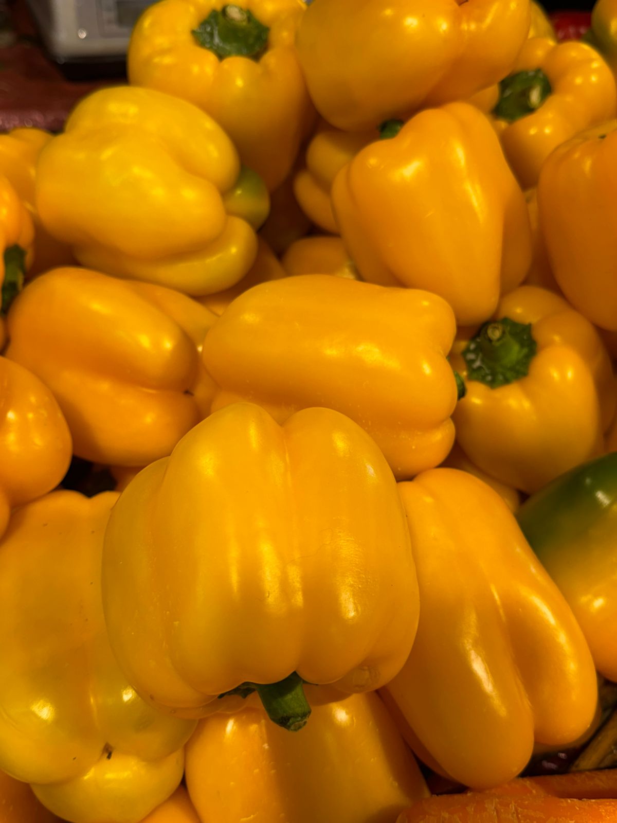 Pimenton amarillo Und.