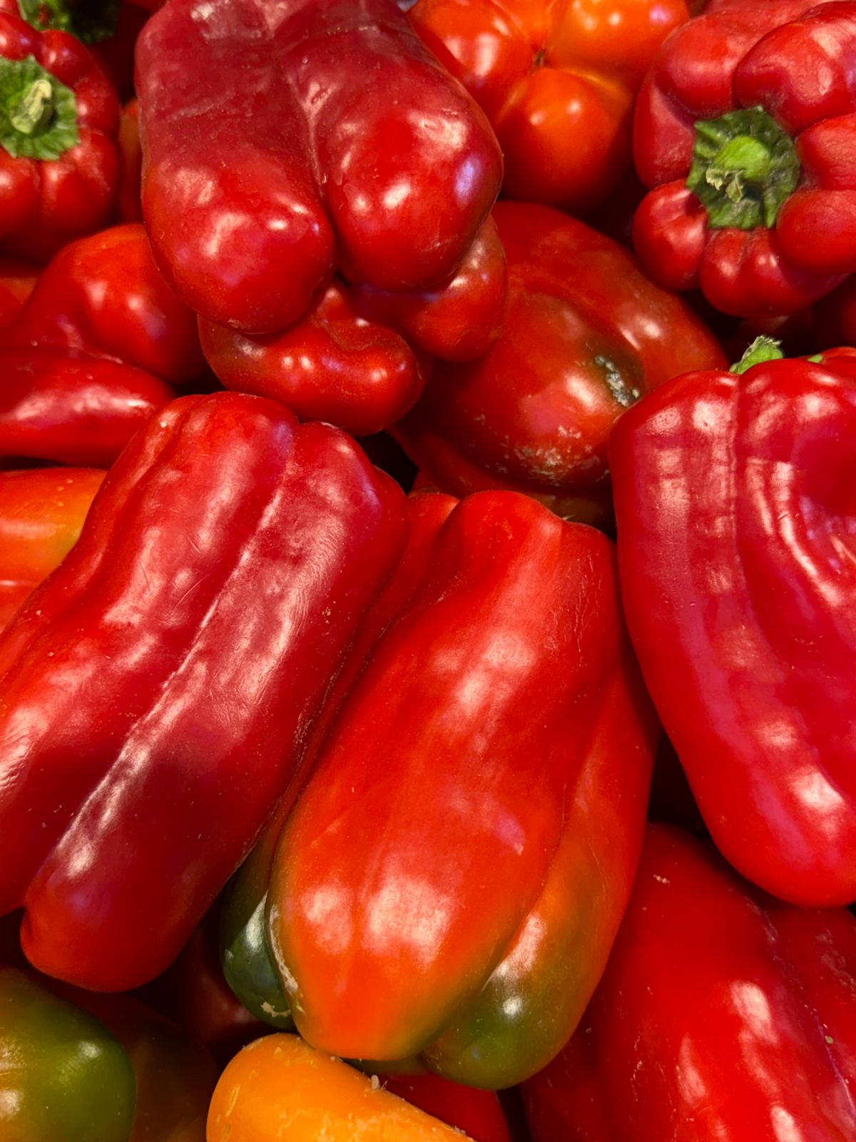 Pimenton Rojo Und.