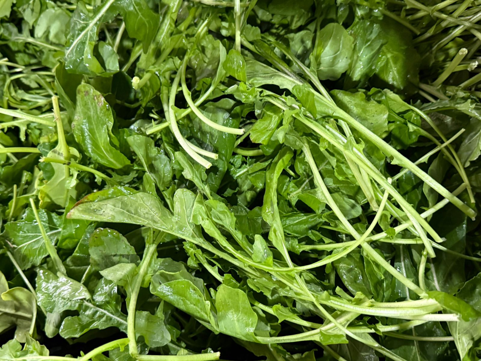 Rucula 300 gr