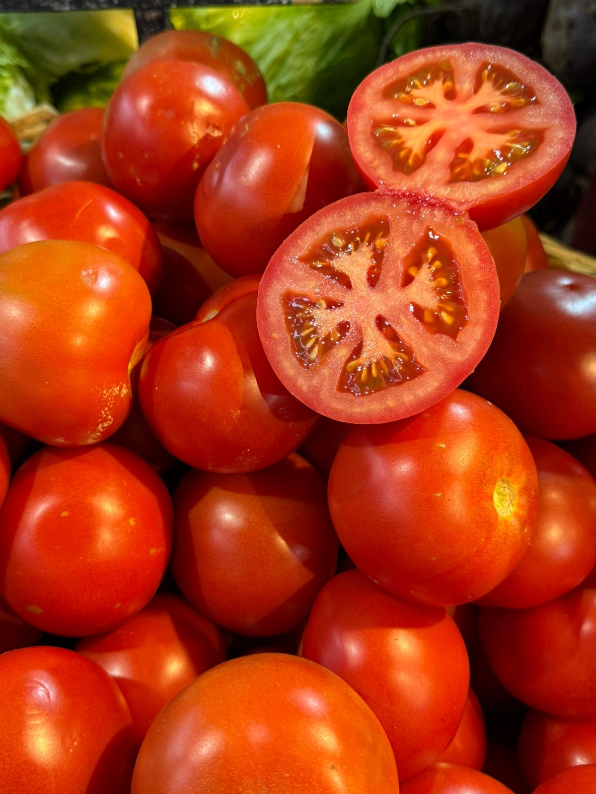 Tomate Corriente kg