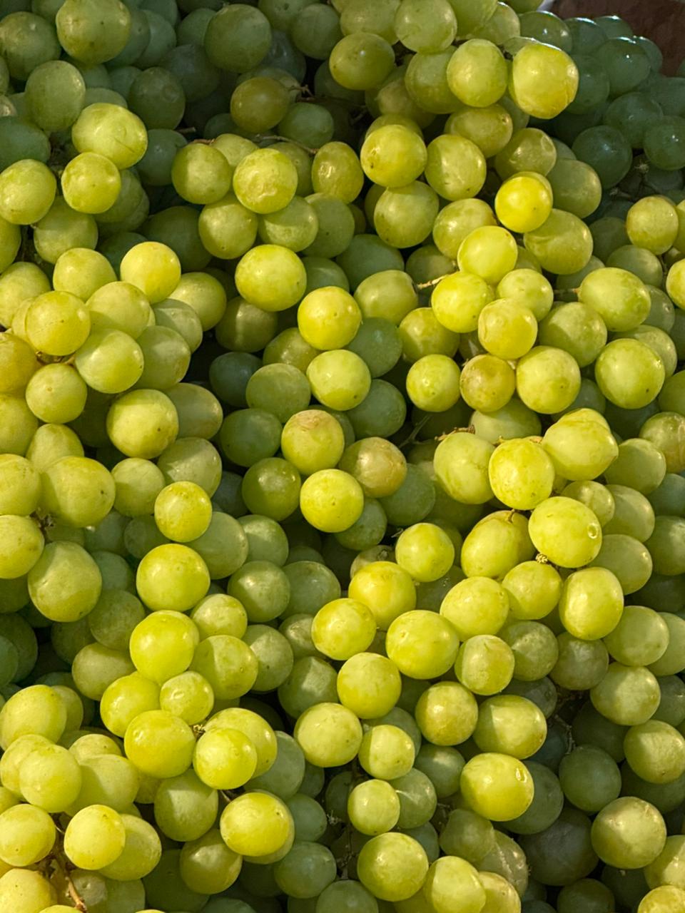 Uva Blanca kg